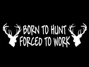 Deer Hunter Decal Born to Hunt Forced to Work vinyl car window trailer sticker - Picture 1 of 1