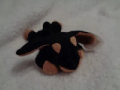 TY Beanie Baby : Doby The Doberman - Image 1 of 4