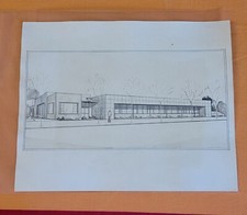 VINTAGE YMCA SAN FRANCISCO EXAMINER PHOTO ORIGINAL FANTASTIC YOUNG KIDS ADULTS