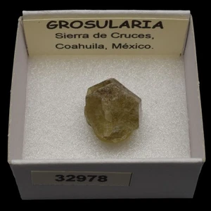 GROSULARIA (Sierra de Cruces, Coahuila, Mexico) #32978 / Grossular - Picture 1 of 1