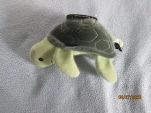 Spunky Pup Meeres Plüsch Schildkröte - Bild 1 von 6