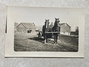 i 1666 Postcard Photo Two Horses Leading a Cart With a Male Driver - Picture 1 of 2