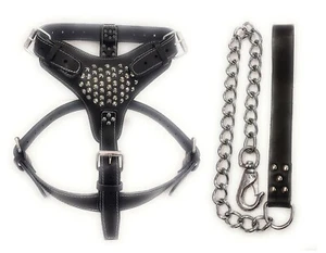 Extra Large Black Leather Dog Harness with Studds and Matching Chain Lead - Picture 1 of 1