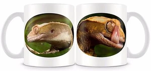 Crested Gecko Mug  Crestie Reptiles v3 - Picture 1 of 1