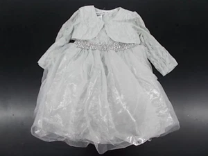 Toddler & Girls Blueber Boulevard Assorted Party Dresses Size 2T - 8 - Picture 1 of 12