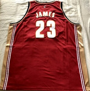 lebron jersey ebay