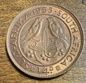 South Africa 1955 1/4 Penny - Elizabeth II KM#44 AU Condition - Picture 1 of 2