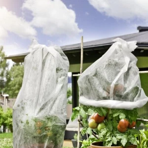 Tomaten Vlieshaube Öko, 10m für 5-7 Tomatenstöcke - Bild 1 von 1