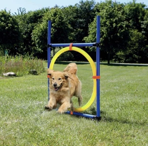 Agility Hoop Jump Training Set Hoop Pet Agility Training Equipment Dog Germany - Picture 1 of 9