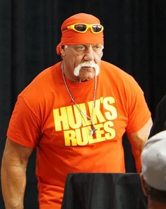 HULK HOGAN - ICÔNE DE LUTTE WWE - Photo imprimée brillante 5x7 - Photo 1 sur 1