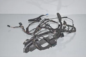 BMW F06 6er Door Wiring Harness, Passenger Side 9255395 9303715 6954561 6906058 - Picture 1 of 4