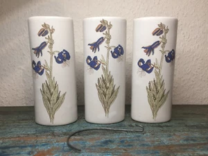 3er Set Luftbefeuchter für Heizung Enzian 8x4,5x19cm Keramik Verdampfer - Bild 1 von 8
