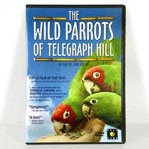 The Wild Parrots of Telegraph Hill (DVD, 2005, Full Screen) Like New ! - Picture 1 of 3