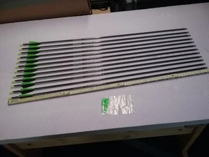 12 Neue Carbonpfeile Pioneer 600 länge von Nockboden bis Schaftende 73,00 cm. - Bild 1 von 6