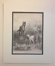 DORE The Wolf and the Lamb (1984 Fables Print Reproduction)