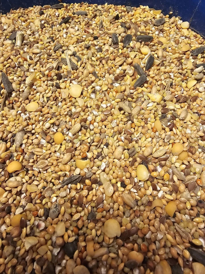 20kg Streufutter Vogelfutter Wildvögel Mischfutter Fettfutter Vögel Kampol  - Bild 1 von 1