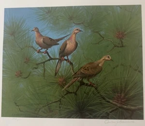 “Mourning Doves” 1982 Bird Art Stamp Print By Owen Gromme S/N LE 203/950 W/stamp - Picture 1 of 7