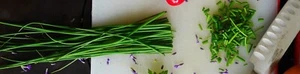 SEED-Perennial Chives- Purple or White Edible Leaves Flowers Garlic Flavored - Picture 1 of 29