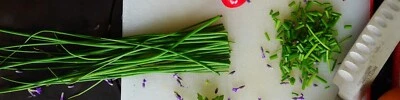 SEED-Perennial Chives- Purple or White Edible Leaves Flowers Garlic Flavored - Image 1 of 4