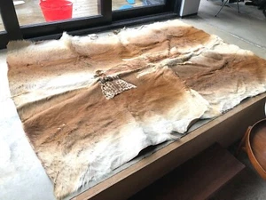 Large Gazelle Patchwork Hide Rug from Rhodesia - 1950s MCM - Picture 1 of 8