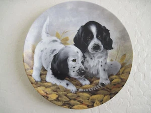 Plato para cachorros de amigo de plumas finas de The English Setters - Imagen 1 de 4