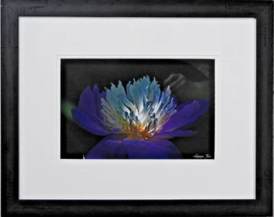 Perfect #16 of 250 18"x24" Color Photograph Professional Frame Mat Flower - Image 1 of 4