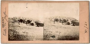 Palestine.Israël.Jaffa.Ville prise du bord de Mer.Stereo Photo Albuminée.1860. - Picture 1 of 2