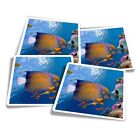 4X Square Stickers 10 Cm - Tropical Fish Underwater  #2343
