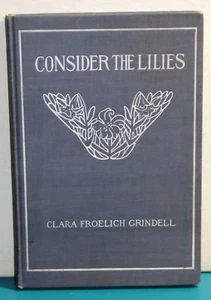 Consider the Lilies, Clara Froelich Grindell (Knickerbocker Press, 1906) 1st HC - Picture 1 of 7