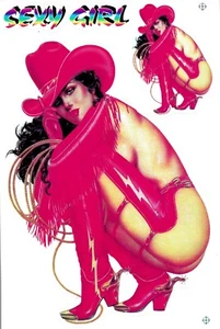 Planche lot stickers autocollants sexy girl pin up cowgirl auto mobilier  - Picture 1 of 2