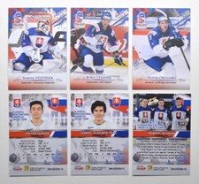 2020 BY cards IIHF U20 World Championship Team Slovakia Pick a Player Card