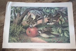 1974 Vintage Kalender Seite Currier & Ives Druck The Disputed Prize Vögel Apfel - Bild 1 von 12
