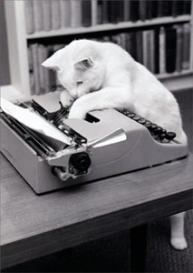 Avanti Press Typewriter Cat Humorous  Funny Birthday Card - Picture 1 of 2