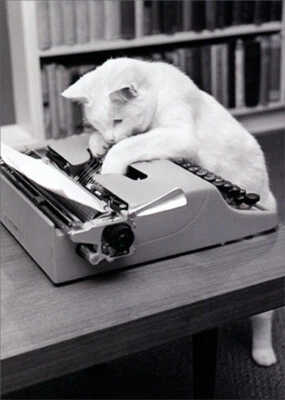 Avanti Press Typewriter Cat Humorous  Funny Birthday Card - Image 1 of 2