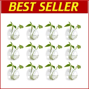 Versatile 12PCS Wall-Mounted Planters - Modern Hydroponic Glass Vases - Picture 1 of 9
