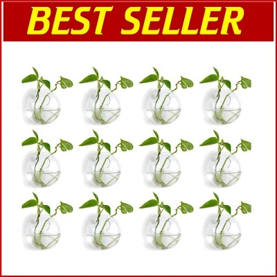 Versatile 12PCS Wall-Mounted Planters - Modern Hydroponic Glass Vases - Image 1 of 4