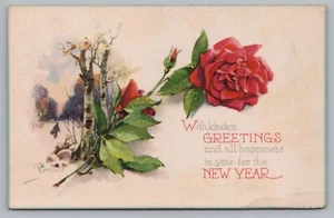 Postcard With Kindest Greetings and All Happiness to You for the New Year - Picture 1 of 2