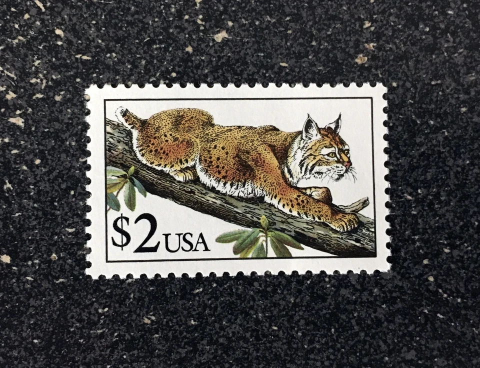 1990USA #2482 $2.00 Bobcat   Mint NH - Image 1 of 1