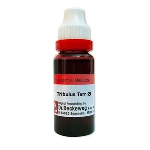 Dr Reckeweg Germany Homeopathic Medicine Tribulus Terr Mother Tincture Q 20ml - Picture 1 of 3