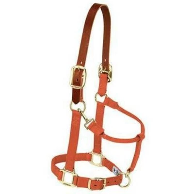 Weaver Breakaway Original Ajustable Mentón y Garganta Snap Halter, 1" Foto 1 de 4