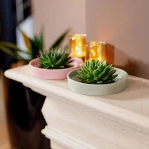 ROOTLESS Echeveria Pulidonis in ciotola ceramica bianca Ø20 cm - decorazione e pfl - Foto 1 di 6