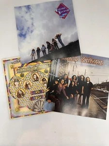 Chronicles Long Box by Lynyrd Skynyrd CD INSERTS ONLY NO CDS - Bild 1 von 2