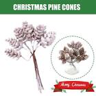 Lucia Crafts Pine Cones Bouquet For Christmas Decor Garland' Wreath M4T3