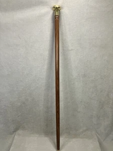 Vintage Cane With Brass Handle - Picture 1 of 9
