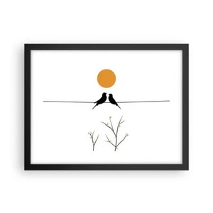 Cuadro Poster de Pared 40x30cm Póster Marco Cuadro Aves Sol Wall Art Prints - Imagen 1 de 10