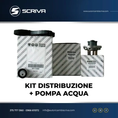 KIT DISTRIBUZIONE + POMPA ACQUA FIAT PANDA(169) 1.2-4X4-1.2 LPG - VAN 71776007