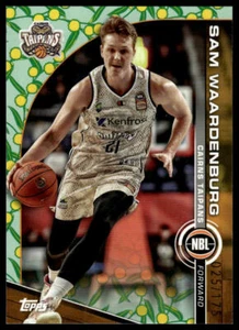 2023-24 Topps NBL Basketball Sam Waardenburg #28 Golden Wattle 25/175 - Picture 1 of 2