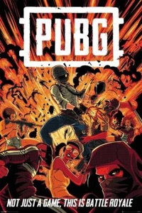 PUBG : Boom - Maxi Poster 61cm x 91.5cm new and sealed - Picture 1 of 1