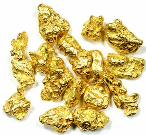 PEPITAS DE ORO PURO NATURAL #6 MALLA 2.000 GRAMOS ALASKAN YUKON BC - Imagen 1 de 6