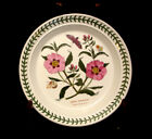 The Botanic Garden by Portmeirion SALAD PLATE 8 1/2&quot;